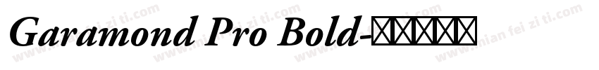 Garamond Pro Bold字体转换
